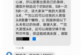 绿园遇到恶意拖欠？专业追讨公司帮您解决烦恼